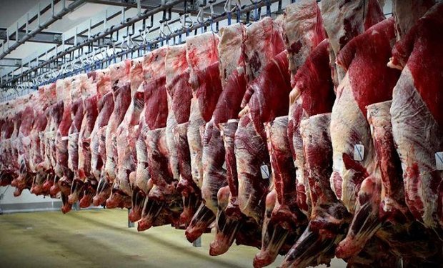 توقف محموله گوشت وارداتی تکذیب شد/افزایش ۲۶درصدی واردات گوشت قرمز